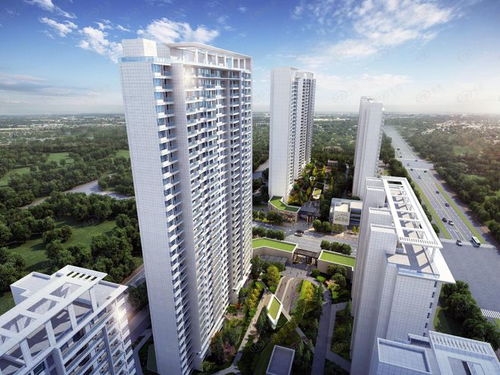 陽光城與林騰蛟 曾經的輝煌與黯然離場