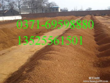 沼氣專用氧化鐵脫硫劑 三門峽高品質(zhì)優(yōu)勢與福建供貨分析